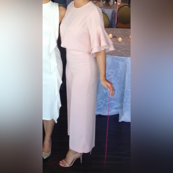 Zara Pants - Zara Light Pink Ruffle Sleeve Top and Wide Leg Pant Set